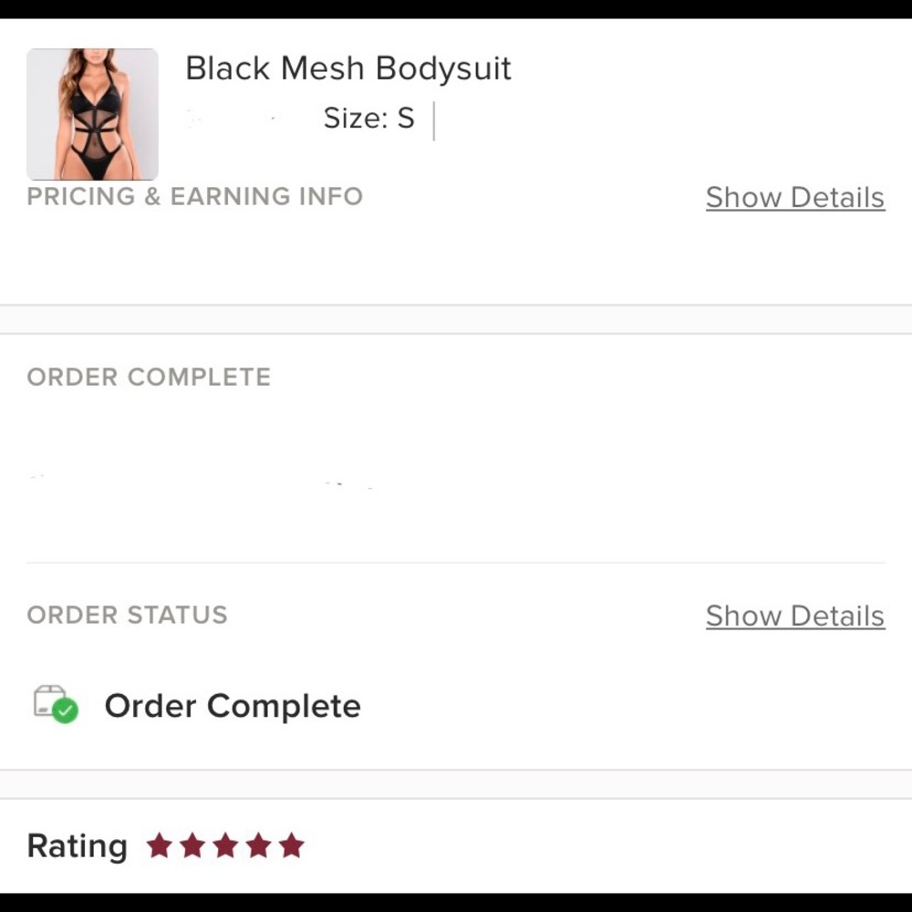 Black Mesh Bodysuit - Picture 8 of 8